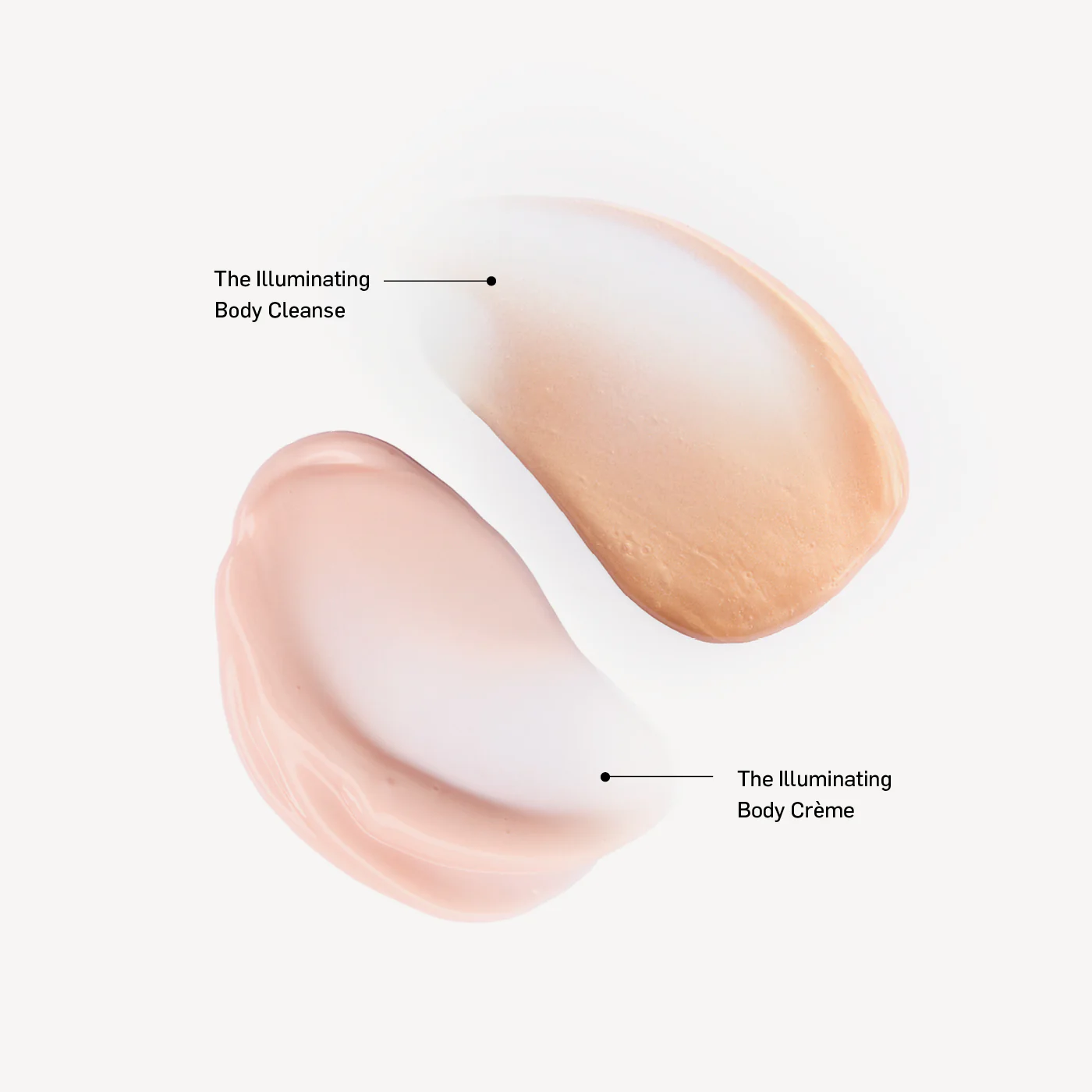 The Illuminating Body Duo - Image 3